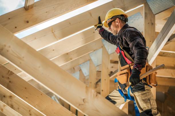 Best Roof Gutter Cleaning  in Hollandale, MS
