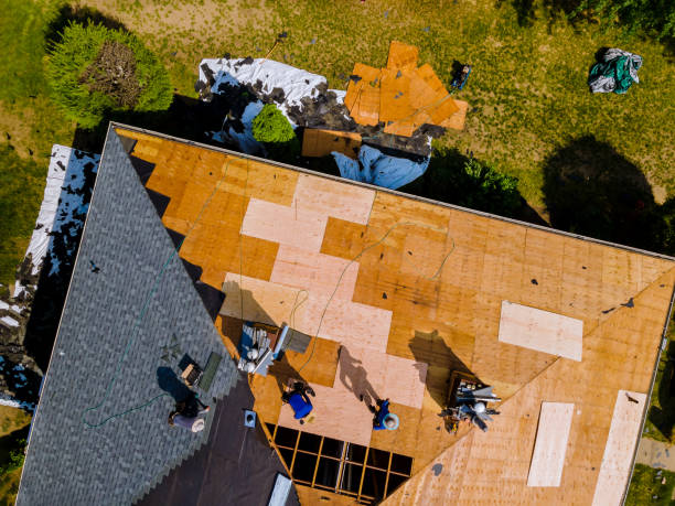Best Roof Maintenance Services  in Hollandale, MS