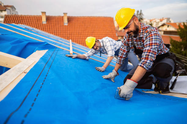 Professional Roofing Contractor in Hollandale, MS