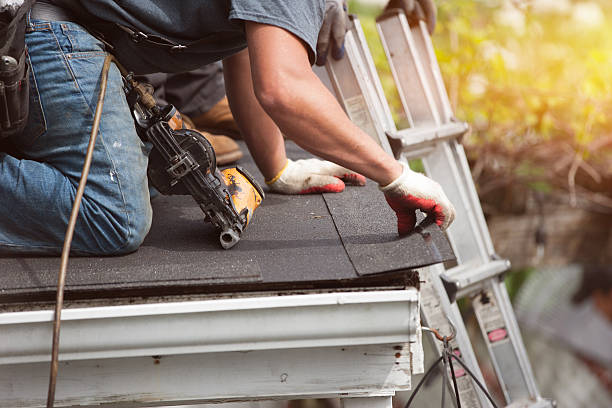 Residential Roof Replacement in Hollandale, MS